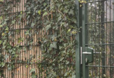 Dubbelstaafmat tuinpoort online bestellen