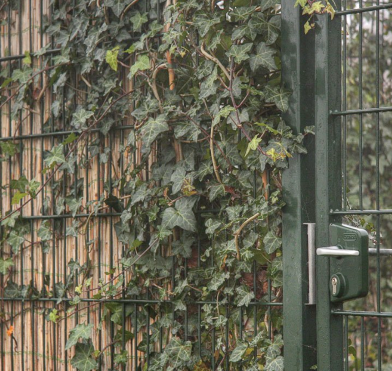 Dubbelstaafmat tuinpoort online bestellen