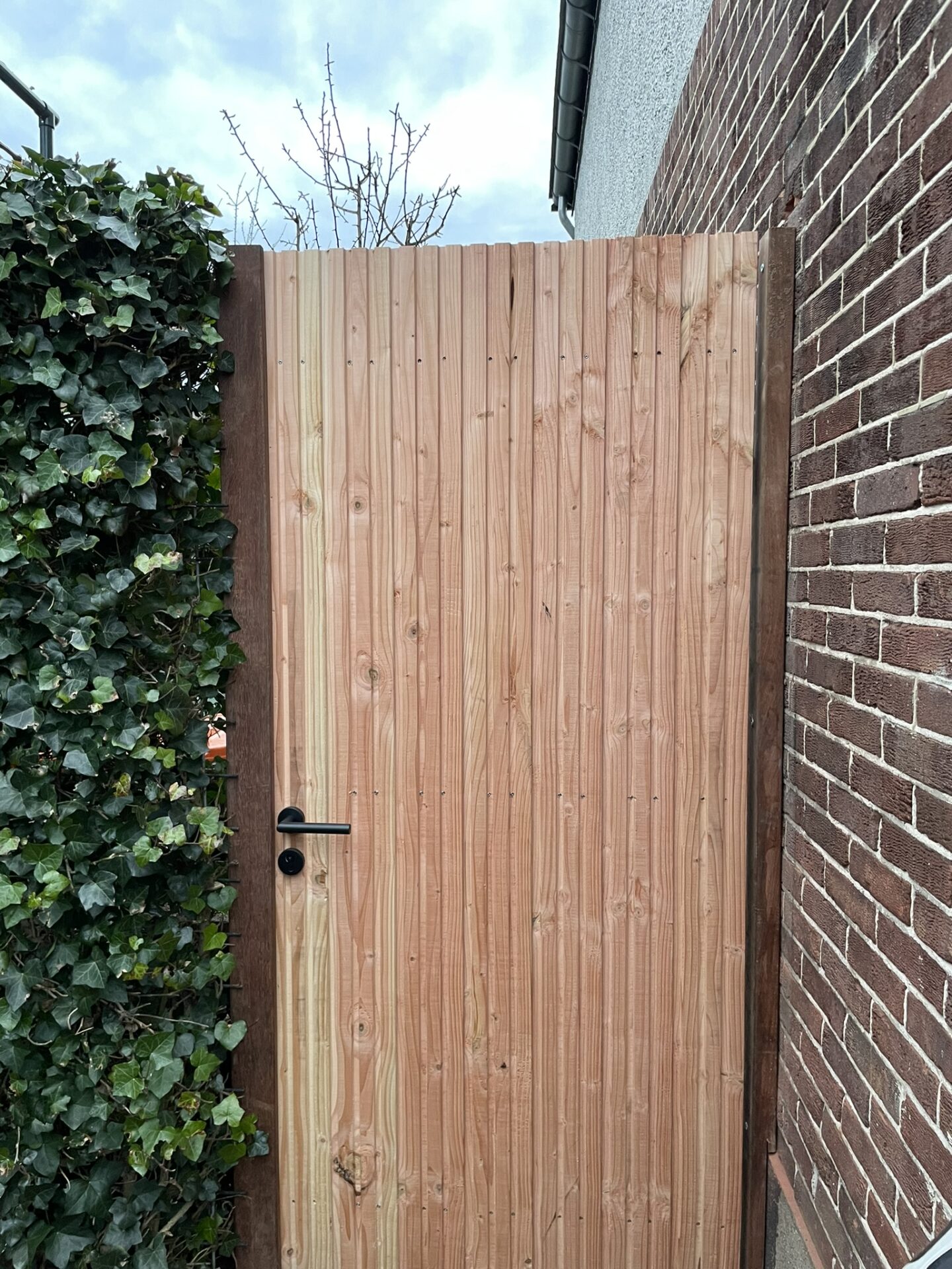 Houten tuinpoort van Douglas met triple profiel